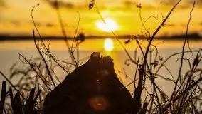 Zachód słońca nad jeziorem Bocznym, styczeń 2022 - zdjęcie 13