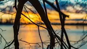 Zachód słońca nad jeziorem Bocznym, styczeń 2022 - zdjęcie 42