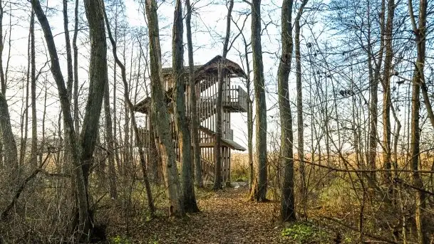 Wieża widokowa nad jeziorem Łuknajno