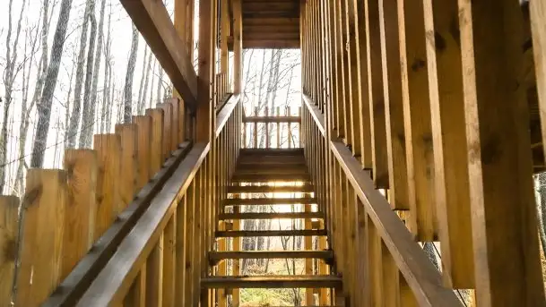 Wieża widokowa nad jeziorem Łuknajno - zdjęcie 2