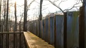 Wieża widokowa nad jeziorem Łuknajno - zdjęcie 7