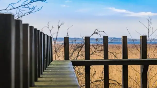 Wieża widokowa nad jeziorem Łuknajno - zdjęcie 3