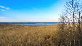 Wieża widokowa nad jeziorem Łuknajno - zdjęcie 13