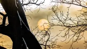 Zimowa Stranda i jezioro Kisajno, styczeń 2022 r. - zdjęcie 17