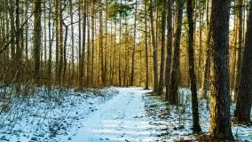 Zachód słońca przy wyspie Wydmińskiej, marzec 2021 r. - zdjęcie 33