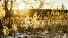 Zachód słońca przy wyspie Wydmińskiej, marzec 2021 r. - zdjęcie 15