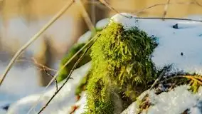 Zachód słońca przy wyspie Wydmińskiej, marzec 2021 r. - zdjęcie 20