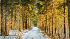 Zachód słońca przy wyspie Wydmińskiej, marzec 2021 r. - zdjęcie 40