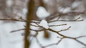 Zimowe widoki, pomiędzy Giżyckiem a Wilkasami - zdjęcie 28