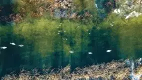 Zimowe jeziora przy Malinówce Wielkiej - zdjęcie 48