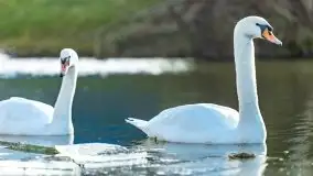 Zimowe jeziora przy Malinówce Wielkiej - zdjęcie 9