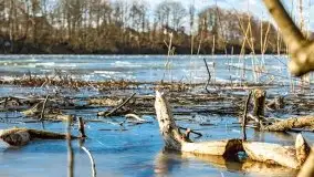 Zimowe jeziora przy Malinówce Wielkiej - zdjęcie 32