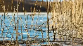 Zimowe jeziora przy Malinówce Wielkiej - zdjęcie 21