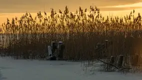 Wschód słońca nad jeziorem Niegocin w Wilkasach - zdjęcie 23