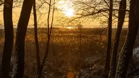 Wschód słońca nad jeziorem Niegocin w Wilkasach - zdjęcie 25