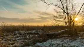 Wschód słońca nad jeziorem Niegocin w Wilkasach - zdjęcie 59