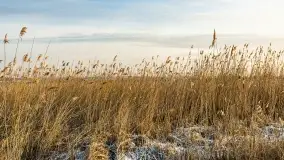 Wschód słońca nad jeziorem Niegocin w Wilkasach - zdjęcie 55