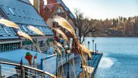 Zimowe Mikołajki, luty 2022 r. - zdjęcie 35