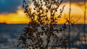 Zachód słońca nad jeziorem Niegocin, Bystry, luty 2021 - zdjęcie 13