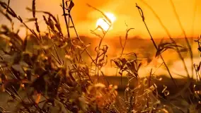 Zachód słońca nad jeziorem Niegocin, Bystry, luty 2021 - zdjęcie 34