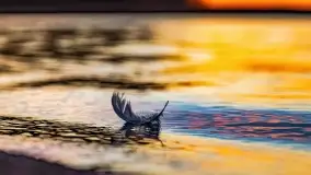 Jezioro Kisajno po zachodzie słońca, luty 2022 r. - zdjęcie 2