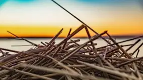 Jezioro Kisajno po zachodzie słońca, luty 2022 r. - zdjęcie 12