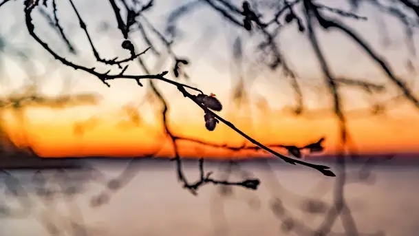 Jezioro Kisajno po zachodzie słońca, luty 2022 r. - zdjęcie 7