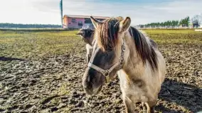 Wierzba i puszcza Piska, luty 2022 r. - zdjęcie 51