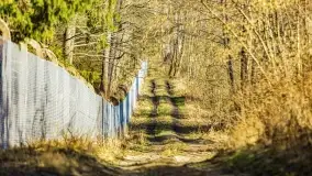 Wierzba i puszcza Piska, luty 2022 r. - zdjęcie 52