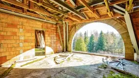 Ruiny pałacu z początku XX wieku w Notyście - zdjęcie 23