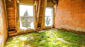 Ruiny pałacu z początku XX wieku w Notyście - zdjęcie 46