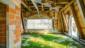 Ruiny pałacu z początku XX wieku w Notyście - zdjęcie 25