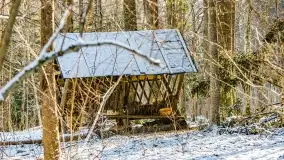 Zimowe migawki z puszczy Boreckiej, luty 2022 r. - zdjęcie 20