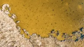 Dargin i okoliczne jeziora z lotu mewy - zdjęcie 21