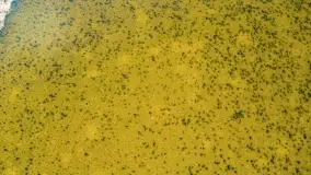 Dargin i okoliczne jeziora z lotu mewy - zdjęcie 14