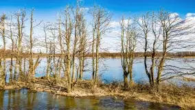 Jezioro Kirsajty i przedwiośnie - zdjęcie 21