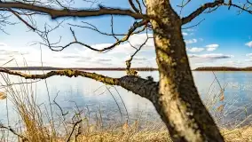 Jezioro Kirsajty i przedwiośnie - zdjęcie 5