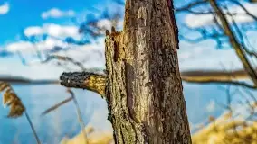 Jezioro Kirsajty i przedwiośnie - zdjęcie 41