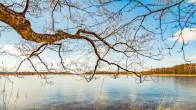 Jezioro Kirsajty i przedwiośnie - zdjęcie 39