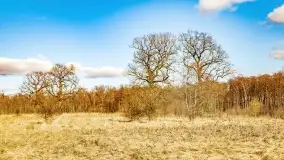 Jezioro Kirsajty i przedwiośnie - zdjęcie 45