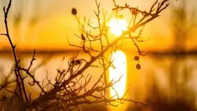 Zachód słońca nad jeziorem Kirsajty, marzec 2022 r. - zdjęcie 33