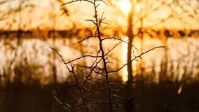 Zachód słońca nad jeziorem Kirsajty, marzec 2022 r. - zdjęcie 15