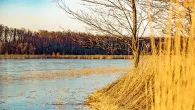 Zachód słońca nad jeziorem Kirsajty, marzec 2022 r. - zdjęcie 10