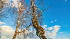 Zachód słońca nad jeziorem Tałty i kanałem Tałckim - zdjęcie 52