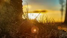 Zachód słońca nad jeziorem Tałty i kanałem Tałckim - zdjęcie 28