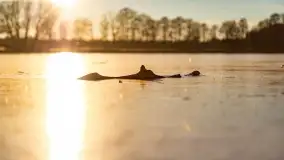 Zachód słońca nad jeziorem Harsz w Harszu - zdjęcie 14