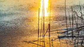 Zachód słońca nad jeziorem Krzywa Kuta - zdjęcie 16