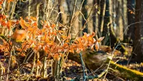 Zachód słońca nad jeziorem Mój - zdjęcie 12