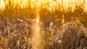 Zachód słońca nad jeziorem Mój - zdjęcie 11