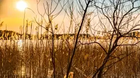 Zachód słońca nad jeziorem Mój - zdjęcie 50